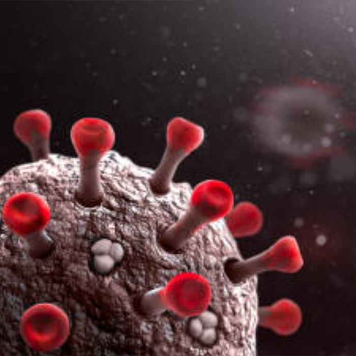 Virus